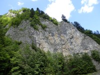 ...kaňon řeky Dunajec je zasazen mezi skály, které v mnohém připomínají vápencové pohoří...
