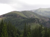 Belianské Tatry - pohled z Monkové doliny