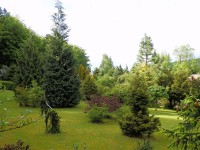 arboretum - Ferdinandov