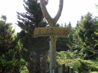 arboretum - Ferdinandov