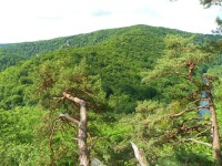 Národní park Podyjí  (pohled z Pašerácké stezky)