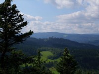 pohled z vrcholu Sedla na hrad Kašperk