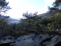 Národní přírodní rezervace Čertova stěna - Luč