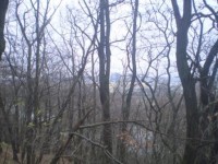 Pohled na Teslu z lesa na kopci