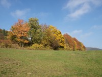 Krásný podzim na kopci nad Stráží n./O.