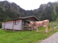 4. den - přístěnek u Alpe Finne