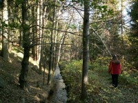 Dlouhástoka je významná tech.památka používaná od roku 1536.Vede z Kladského rybníka do dolů v Horním Slavkově a je cca.24 km.dlouhá