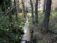 Stoka je 24km dlouhá a vede z Kladského rybníka z výšky 810 m.n.m .Začala se používat v roce 1536