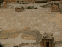 Mozaika na podlaze jednoho z vykopaných chrámů