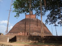dagoba Jetavanrama ze 3.stol.n.l. původně přes 100 výšky,dnes 70 m.Postavil ji král Mahasena