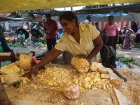 prodejkyně Jack Fruit v Negombu