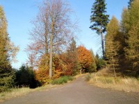 Cesta na podzim