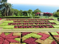 Botanická zahrada ve Funchalu.