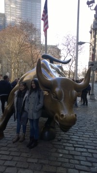 Charging Bull - představující sílu peněz.