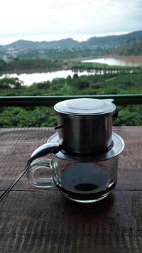 Cibetková káva na plantáži chutná.