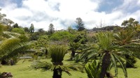 Okrasný park v botanické zahradě.