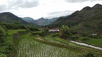 Rýžová pole u Ha Giang.