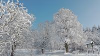 Zimní Vysočina - ladovská zima pokračuje.