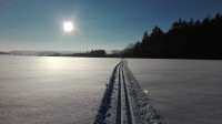 Zimní Vysočinou na běžkách - okruh kolem Humpolce a Lipnice nad Sázavou.