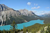 Peyto Lake.