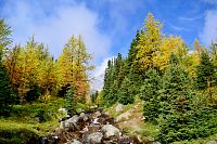 Larch Valley.