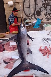 Rybí trh v Catanii.