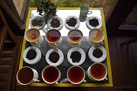 Ochutnávka srílanského čaje.