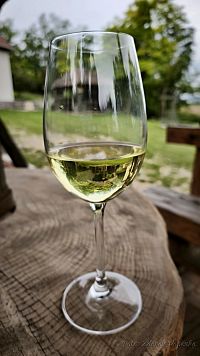 Vinotéka u Dyjákoviček.