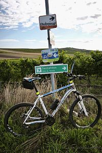 Na cyklostezce Chardonnay.