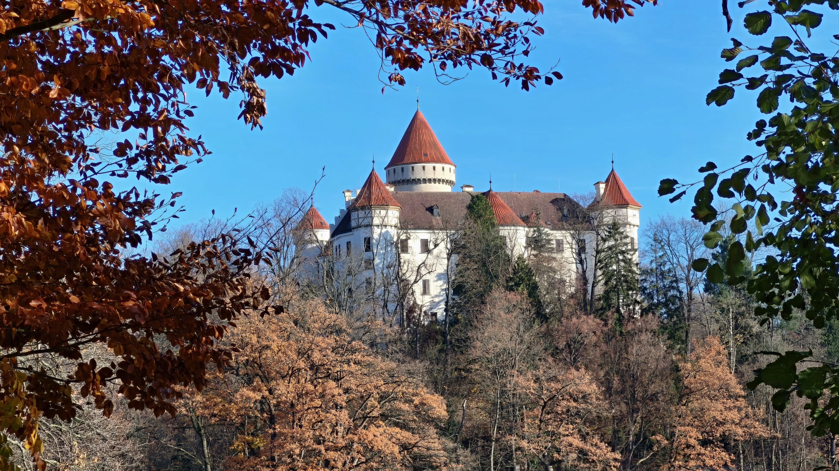 Konopiště - zámecký park a rybník.