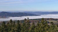 Šumava - listopadová túra v okolí Sušice s výstupem na rozhlednu Sedlo.
