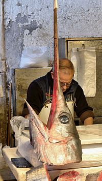 Mečoun na rybím trhu.