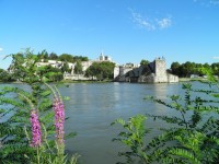 Avignonský most od řeky Rhony.