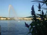 Vodotrysk v Ženevě.