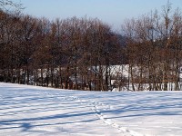 Valašsko v zimě