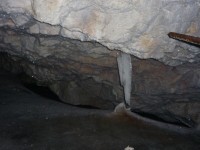 Peștera Scărișoara