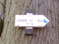 Lopata