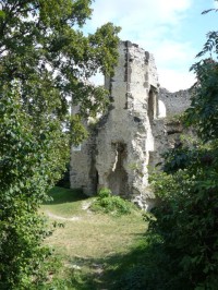 Viňanský hrad