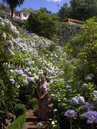 Zahrady nad Funchalem