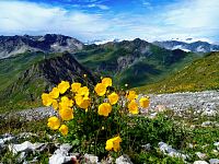 Weisshorn