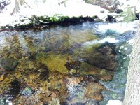 průzračná voda Zeleného potoka