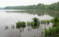 Padrťský rybník