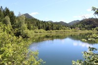 Kolem přehrady na řece Erlauf.