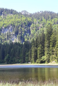 Obersee, stěna nad jižním břehem