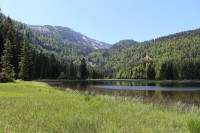 Obersee, východní břehy jezera