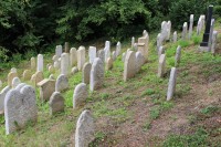 Švihov, severní část hřbitova