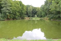 Vrchotovy Janovice, zámecký rybník