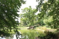 Vrchotovy Janovice, zámecký rybník