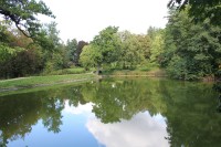 Vrchotovy Janovice, pohled na rybník od jihu