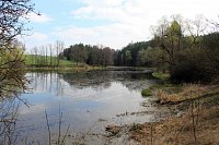 Jezinský rybník